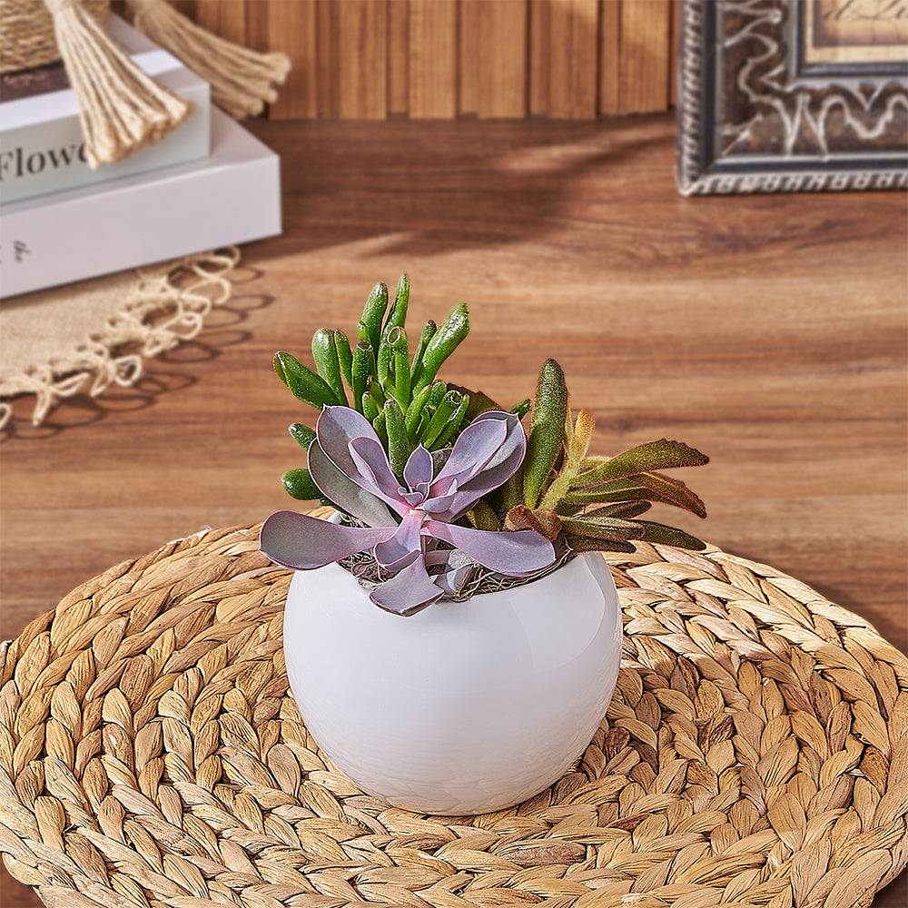Round Planter with Succulents – how the gift is presented