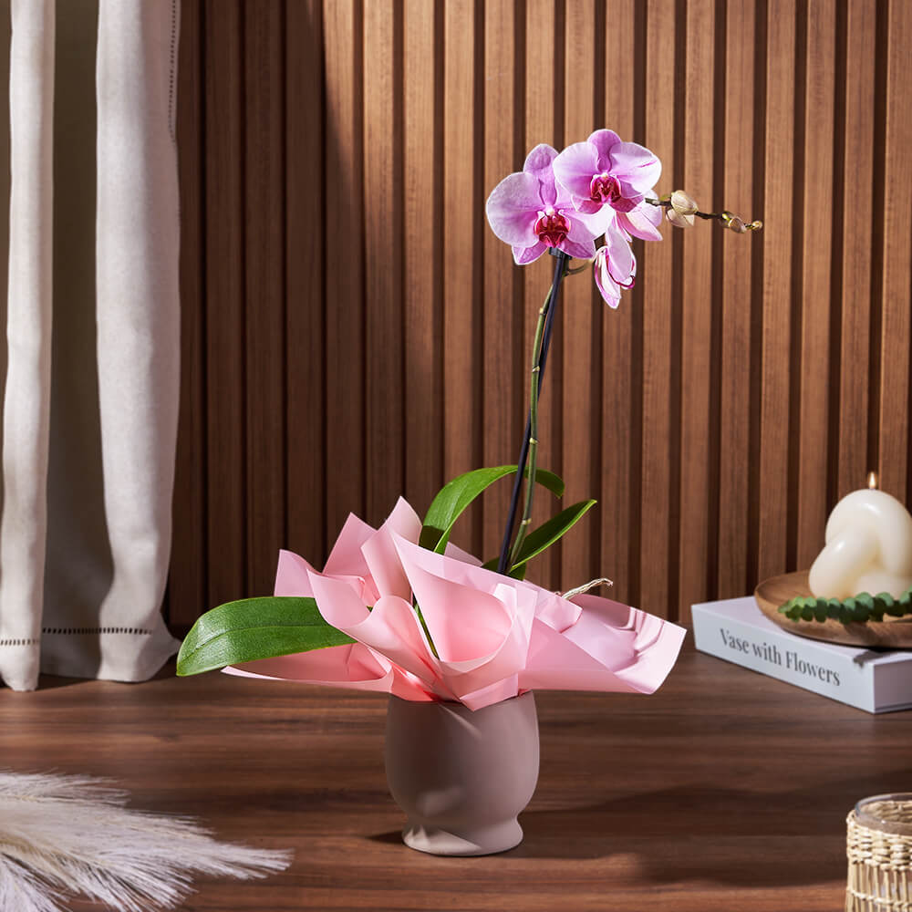 Decorative Phalaenopsis Orchid Potted in 5-Inch Ceramic Container – how the gift is presented