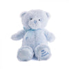 Blue Best Friend Baby Plush Bear from New Jersey Baskets - New Jersey Delivery