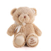 Brown Best Friend Baby Plush Bear from New Jersey Baskets - New Jersey Delivery