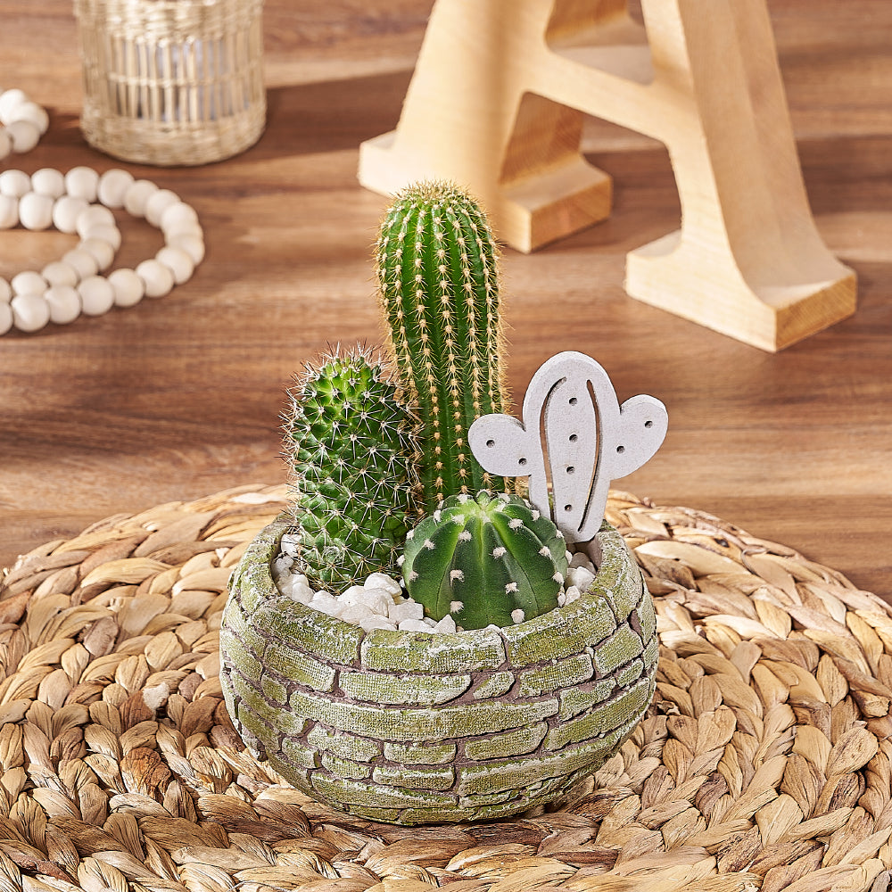 Modern Trio Cactus Planter – how the gift is presented