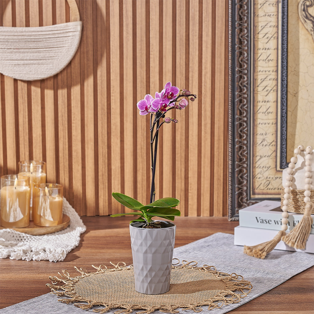 Mini Ceramic Orchid Plant – how the gift is presented