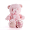 Pink Best Friend Baby Plush Bear from New Jersey Baskets - New Jersey Delivery