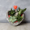 Rock Garden Succulents of Love from New Jersey Baskets - New Jersey Delivery