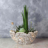 St. Lawrence Potted Succulent Garden from New Jersey Baskets - New Jersey Delivery