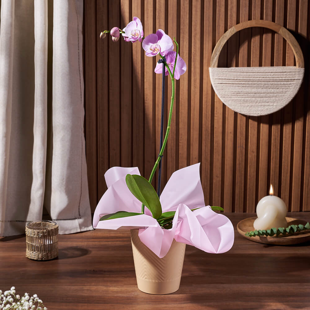 Purple Orchid Ceramic Planter – how the gift is presented