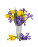 Bursting Beauty Iris Bouquet