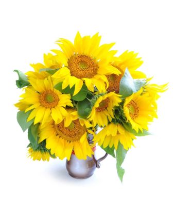 Crowning Glory Sunflower Bouquet