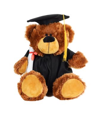 My Grad Teddy Bear, plush toys, plush gift baskets